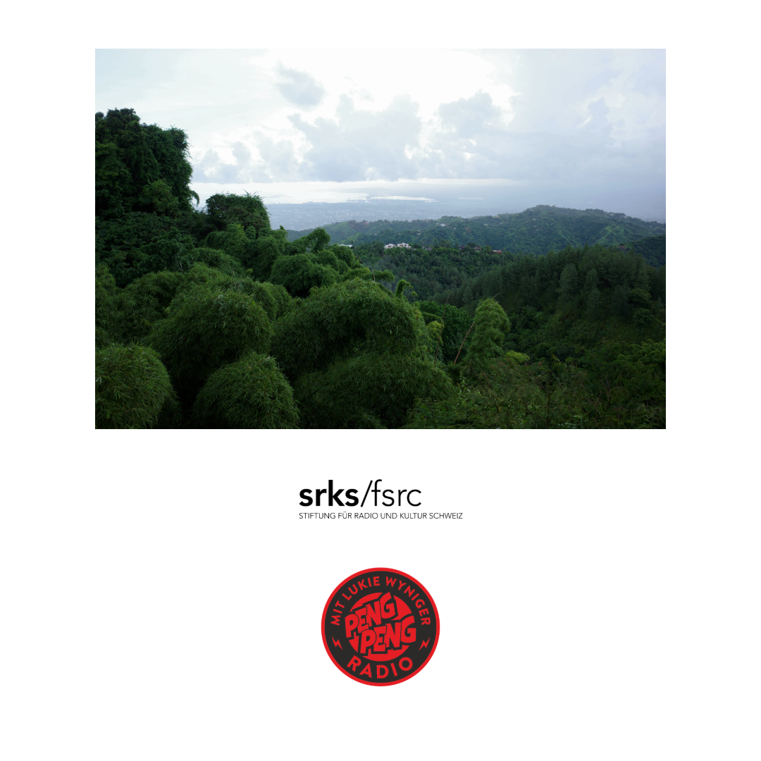 WYFL Riddim Rocking Skyline